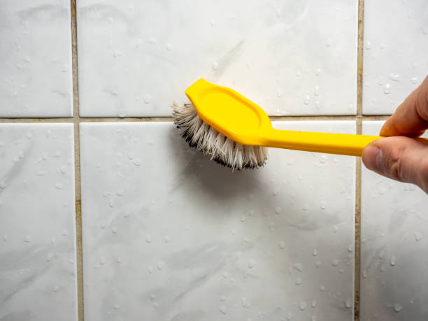 Best Mold Removal Near Me  in Martinsville, VA
