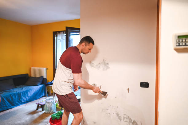 Best Same-Day Mold Removal  in Martinsville, VA