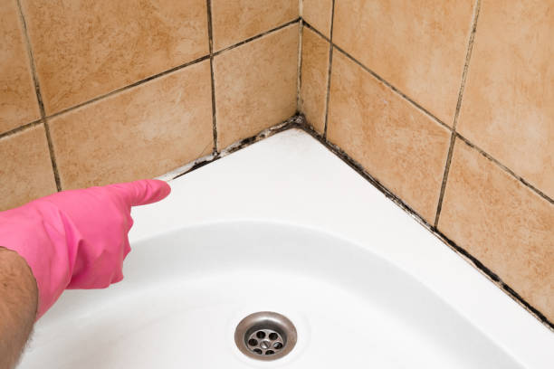 Best Office Mold Removal Services  in Martinsville, VA